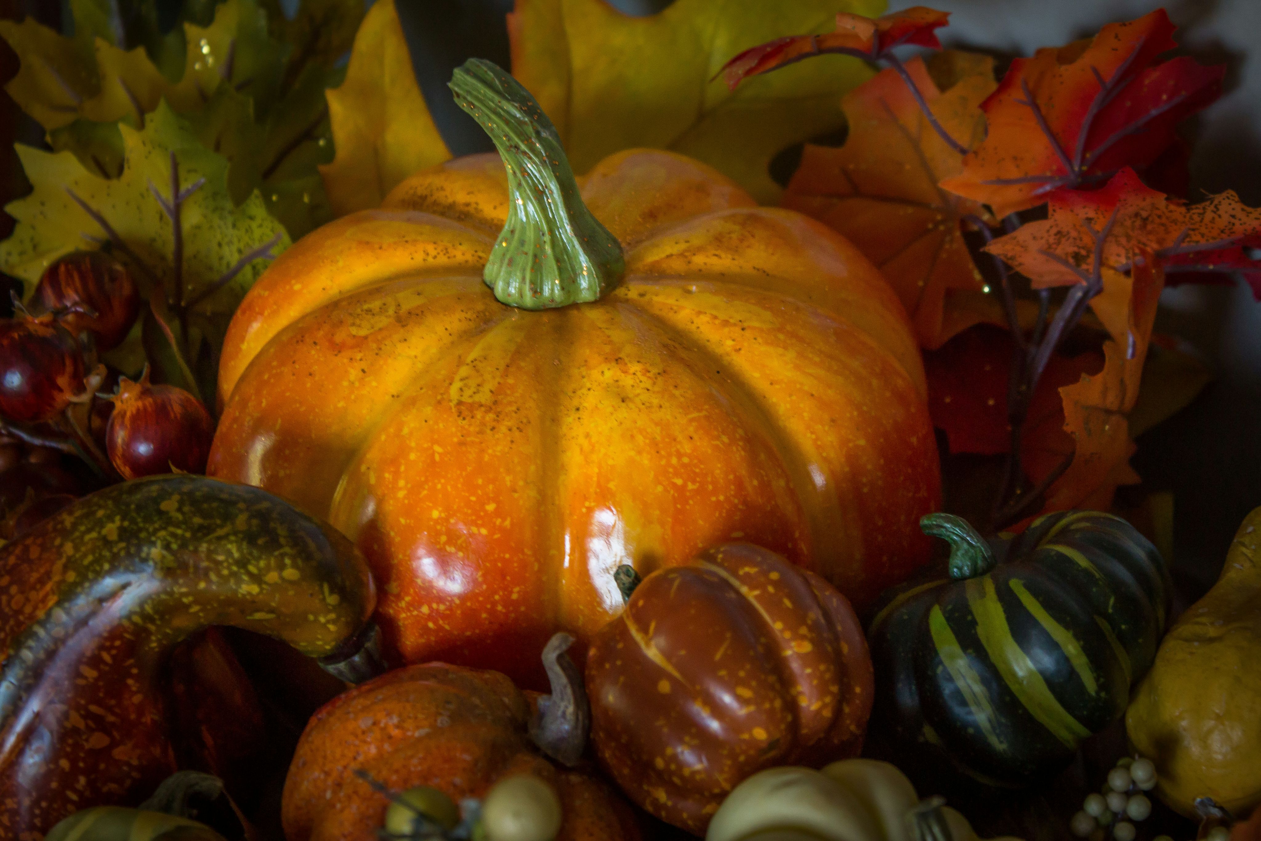 pumpkin fruit